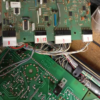 Immagine Moog Multimoog - 14