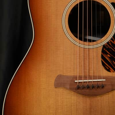 Taylor Gold Label 717e 2025 Sunburst with Firestripe Pickguard image 5