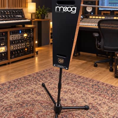 Immagine Moog Etherwave Pro Theremin – 50th Anniversary 2004 - Birdseye Maple / Natural Wood - 3