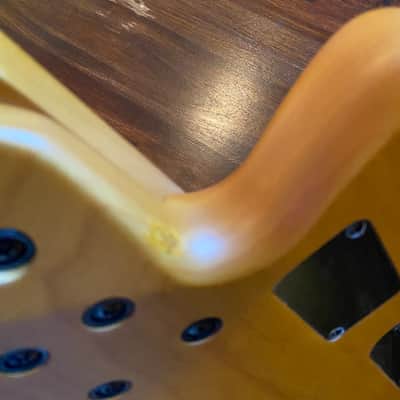Schecter Session 5 String Bass Left Handed image 8