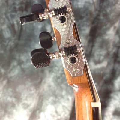 Cordoba Fusion 14 Rose w/ Solid Rosewood Top - Fishman Presys Preamp - Tuner & Premium Gigbag #25295 image 10