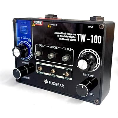 Foxgear TW-100 100W American Classic Vintage Guitar amplifier image 2