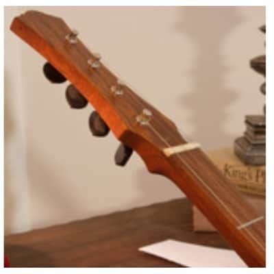 Roosebeck DMWR | Wildwood Dulcimer Rosewood with 3 Round Openings, Flat Pegbox. New with Full Warranty! image 6