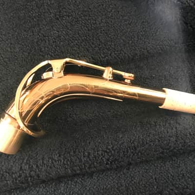 Antigua Winds ProOne Professional Eb Alto Saxophone - Lacquer image 7