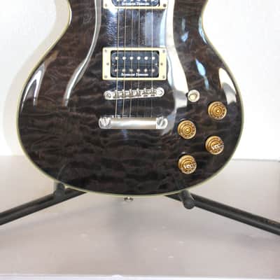 2003 Washburn WI-66 Pro Electric Guitar Gray Flame Top With Hard Shell Case image 2