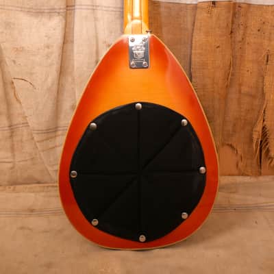 Vox Starstream XII 1967 Sunburst image 9