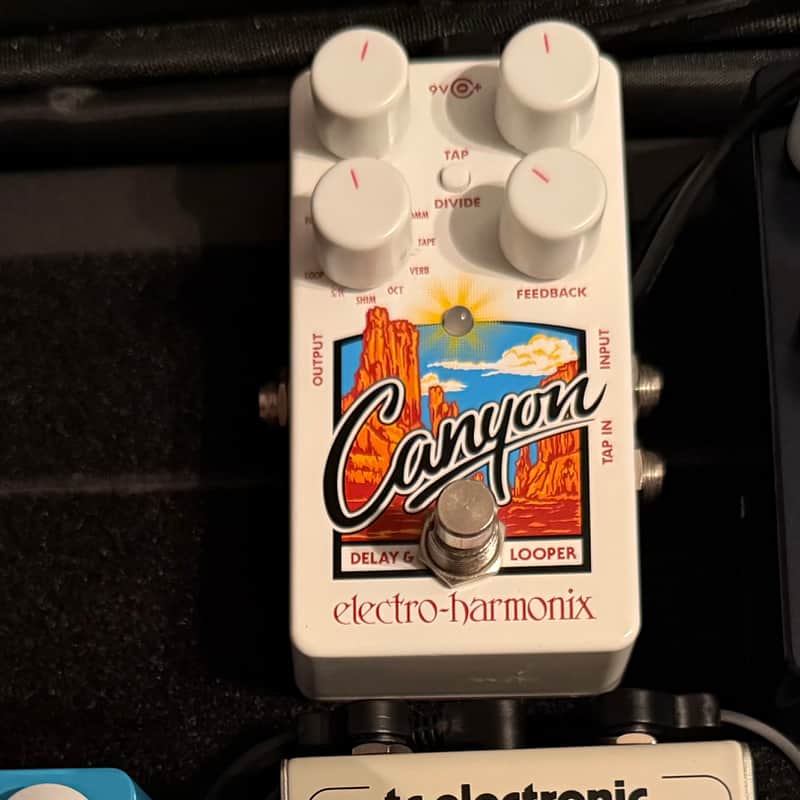 Electro-Harmonix Canyon