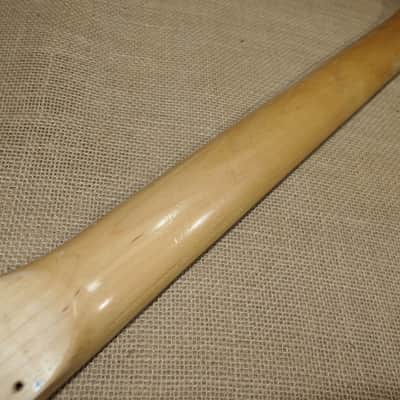 Neck Maple/Rosewood, Genuine Peavey Predator image 7