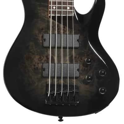 ESP LTD B-205DX 5-string Electric Bass Guitar - Black Burst Rosewood Fingerboard image 2