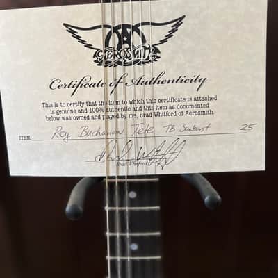 Fritz Brothers Roy Buchanan Bluesmaster 1989 - Sunburst image 7