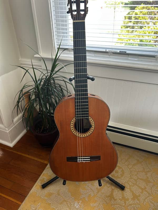 Tim McCoy 2012 Cedar Top Classical Guitar Cedar 2012 image 1