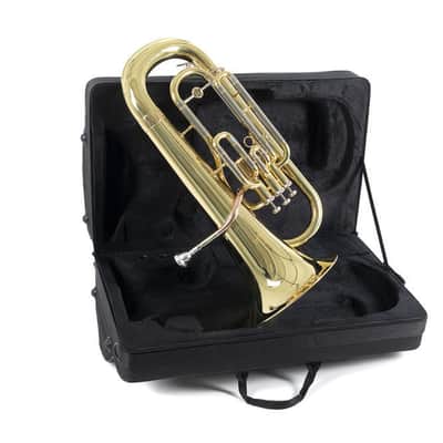 Roy Benson EP-301 in B Euphonium image 8