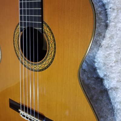 Takamine No.5 image 6