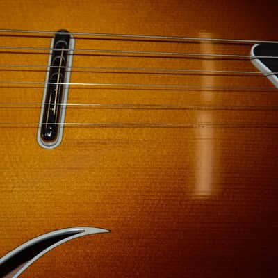 Taylor T5-S 2007 - Sunburst image 8