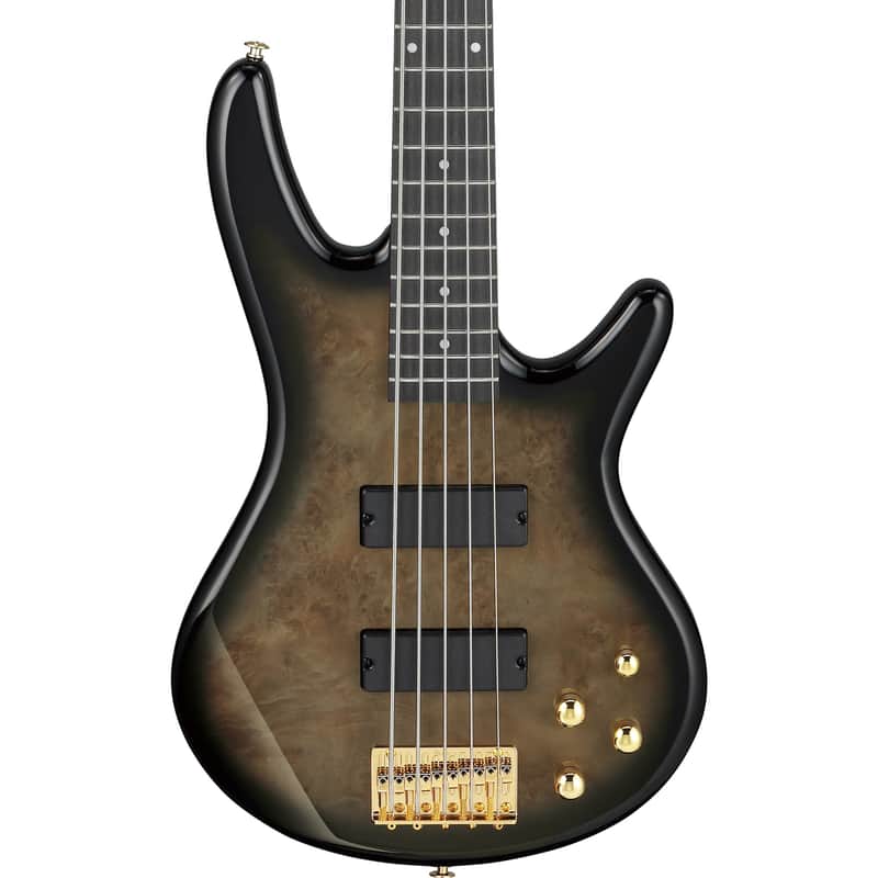 Ibanez GSR205PC Gio SR 5-String Electric Bass - Transparent Pale Black Burst image 1