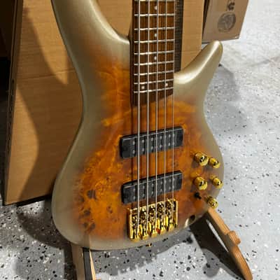 Ibanez SR Standard 5-string Electric Bass - Mars Gold Metallic Burst image 2