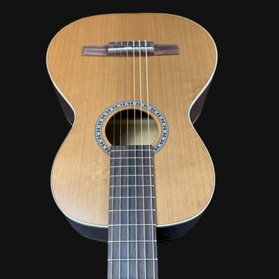 Godin Motif Parlour Size Classical Guitar image 4