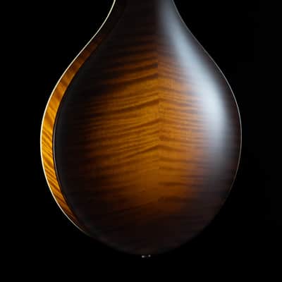 Collings MT-O, Black Gloss Top, Engelmann, Maple - NEW image 2