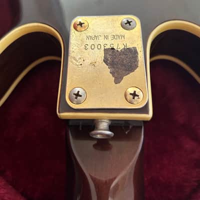 Bradley ES-55W Double Cutaway Semi-Hollow 1975 Natural Rosewood image 22