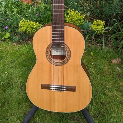Rivertone SC-162 Classical Guitar image 1