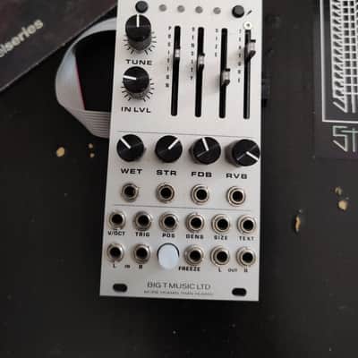 Big T Monsoon Mutable Instruments Clouds Clone Eurorack Module image 7