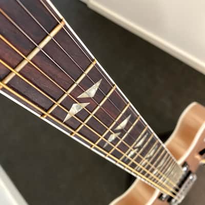 Gibson Dave Grohl Signature DG-335 Bild 6