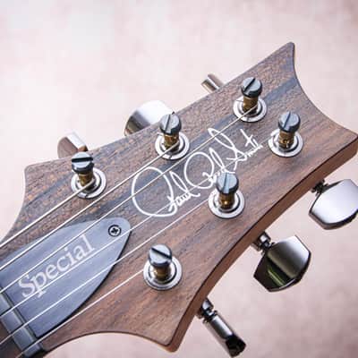 PRS USA Paul Reed Smith Wood Library Special 22 Semi Hollow 10-Top "Copperhead Burst" (2024) image 12