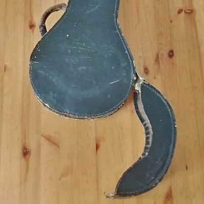 Cased George P. Matthew Mandolin 1882-1910 image 20
