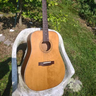 Hofner Dreadnought 1970's-80s - Natural mahogany image 1