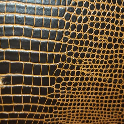 Godin Deluxe Hardshell Tour Case image 25