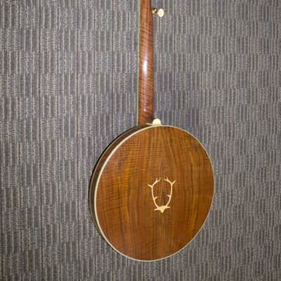 Stelling Staghorn Gold Plated Banjo No. 4510 (c. 1996) image 2