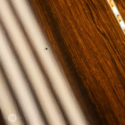 Collings Guitars - 2005 - 0003 Cutaway - German Spruce - Brazilian Rosewood - Used image 16