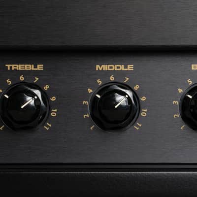 Metaltronix by Lee Jackson M-2000 100W Head *PRE-ORDER* image 7