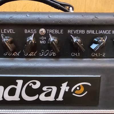 Bad Cat Hot Cat 30R RARE Ostreich Tolex image 5
