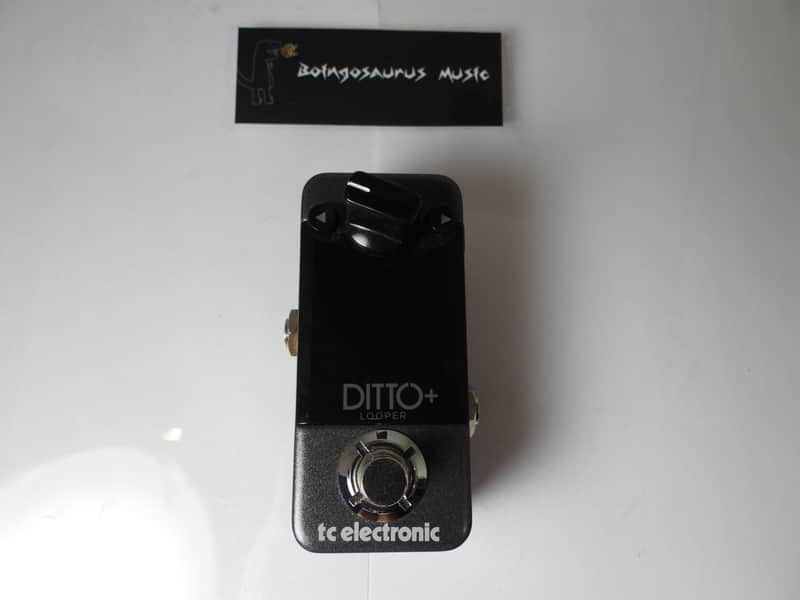 TC Electronics Ditto + Plus Looper Effects Pedal Phrase Sampler Free USA Ship image 1