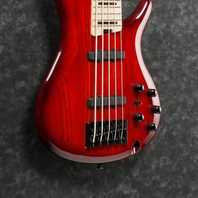 Ibanez Adam Nitti Signature 5str Electric Bass w/Bag - Transparent Wine Red Burst (ANB205TWB) image 6