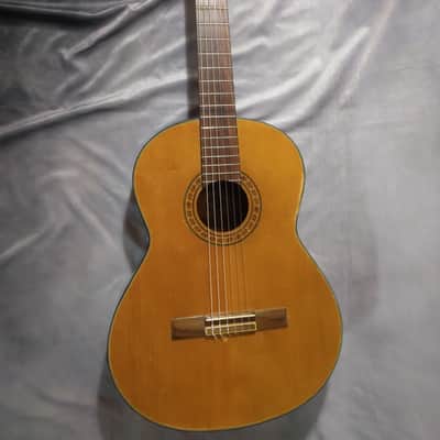 Epiphone Classical Acoustic Guitar, Model C40, Nylon Strings 1990s - Natural image 1