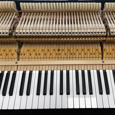 Steinway Model M 5'7" Chippendale Grand Piano 1997 (Restored) - Satin Mahogany image 22