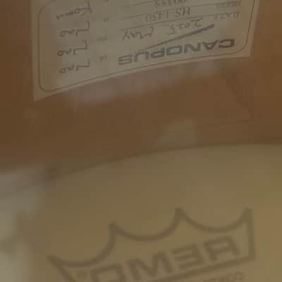 Canopus 5x14 Zelkova image 9