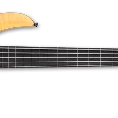 ESP LTD B-205/SpaltMpl/Fretless/NS guitar image 1
