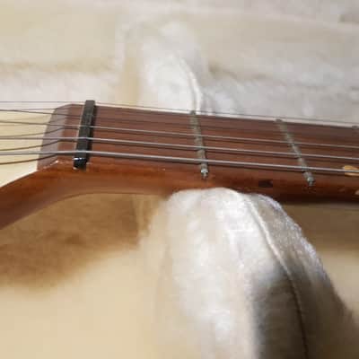 80's SOFT HAIR GUITAR CASE - fits Strat or TELE image 3