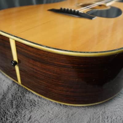 TF Morris W-50 - Natural Japan Acoustic image 5