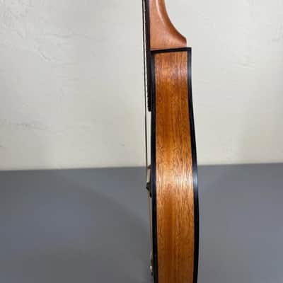 Custom-Built Flat-Back Mandolin with Case image 6
