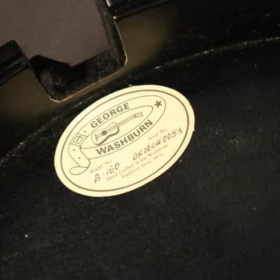 Washburn B160 Sonny Smith Signature 5-String Banjo image 8