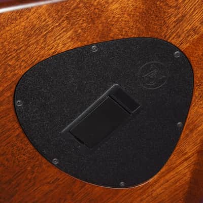 2014 Taylor T5z Classic Semihollow Acoustic/Electric Guitar (VIDEO! Fresh Work, Ready) image 13
