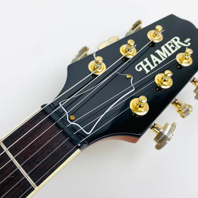 Hamer Sunburst: One of a Kind: Hamer Fan Club. 2001 Natural image 8