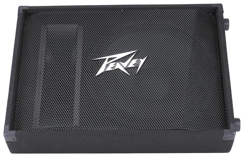 Peavey PV 15M 2-Way Floor Monitor image 1