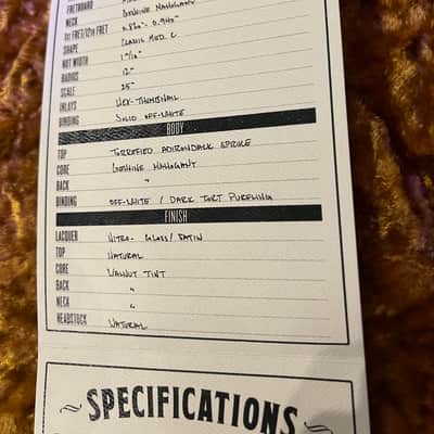 Frank Brothers Thinline Arcade Double Bound born on Jesus' Birthday 2022 image 10