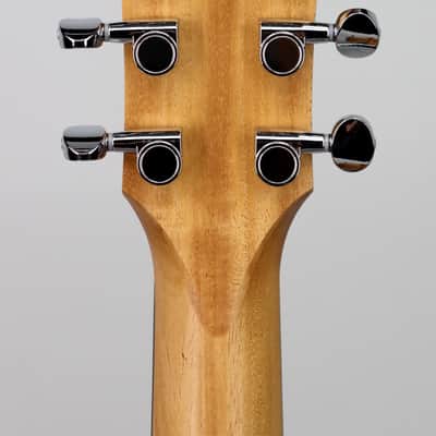 Taylor GS Mini Sapele image 5
