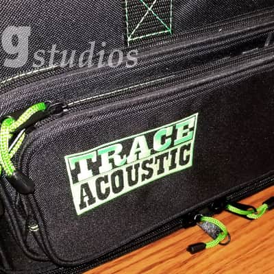 Trace Elliot TA-100 Acoustic Guitar Combo Amplifier - New! Open Box... image 10
